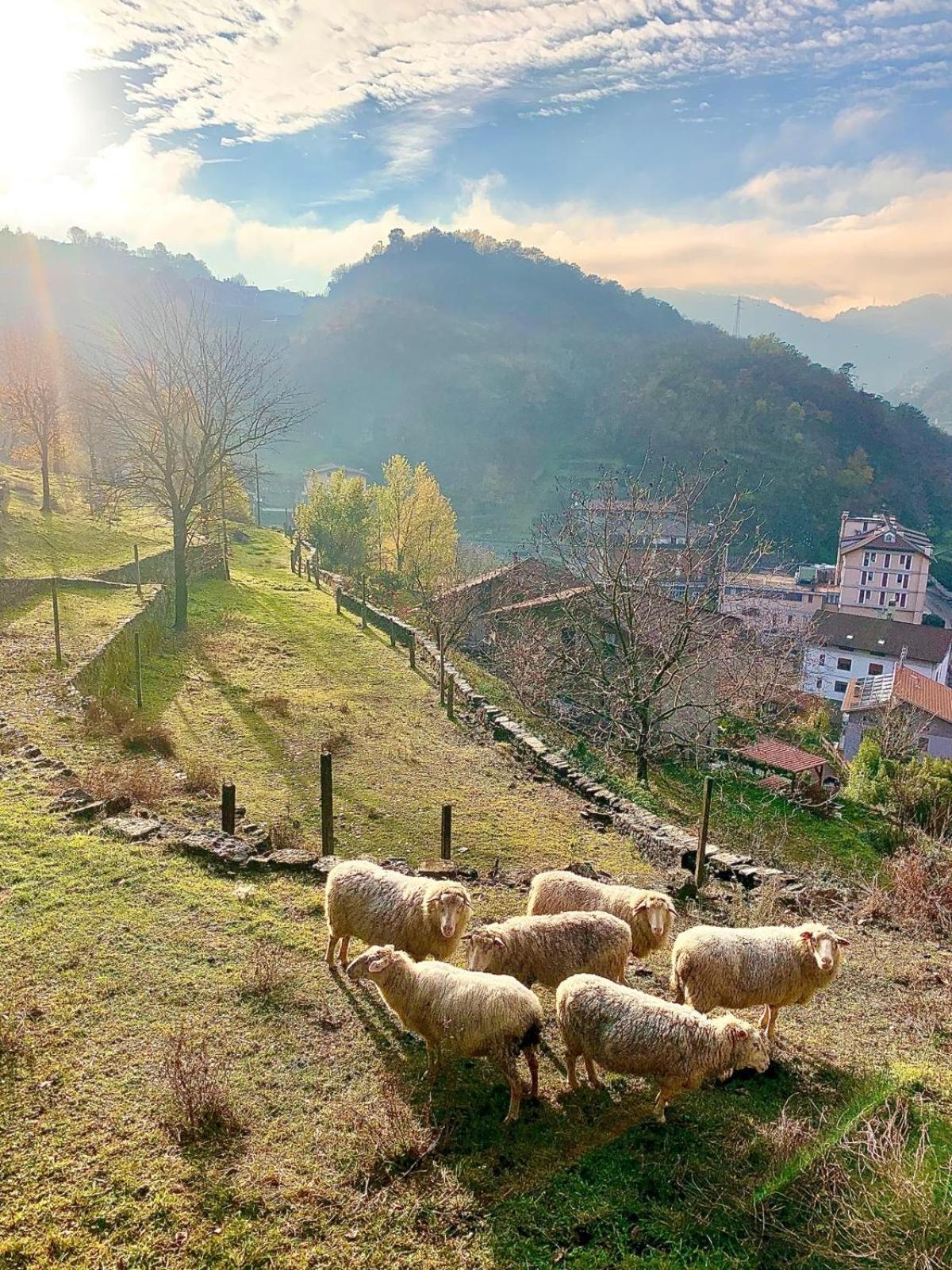 Вилла La Casa Sulla Collina Del Castello Брено Экстерьер фото